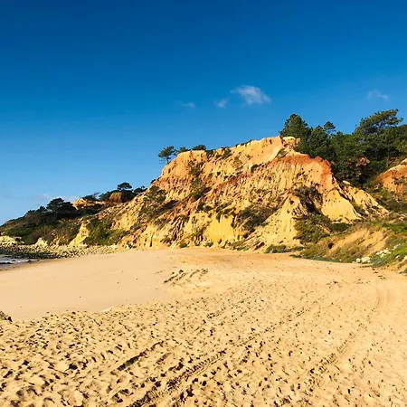 Algarve Family Escape Apartment *